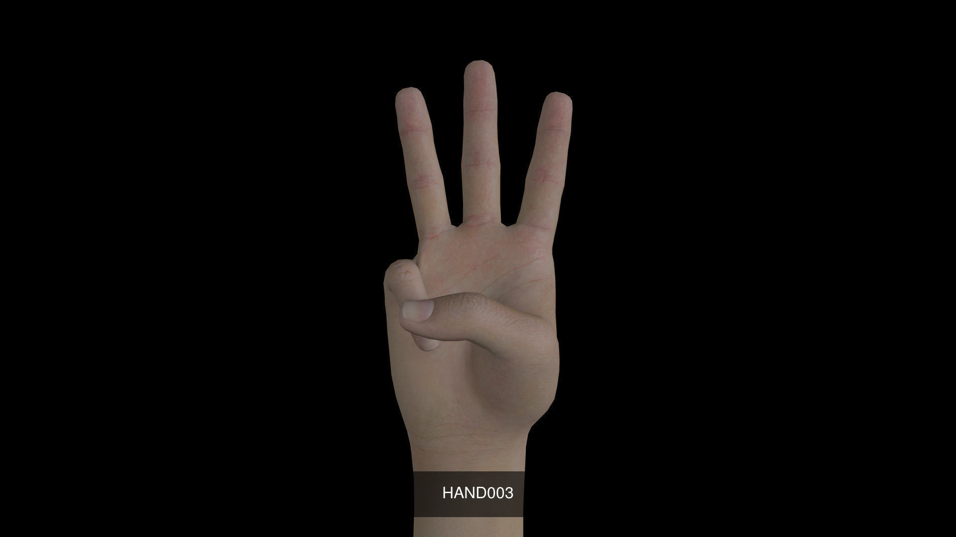 Right Hand 3D Model Collection_3
