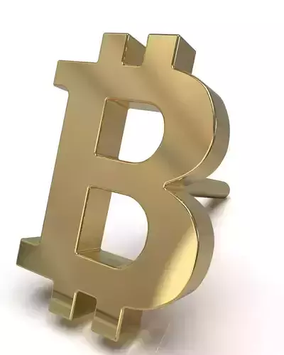 Bitcoin blank stud earring 3D print model