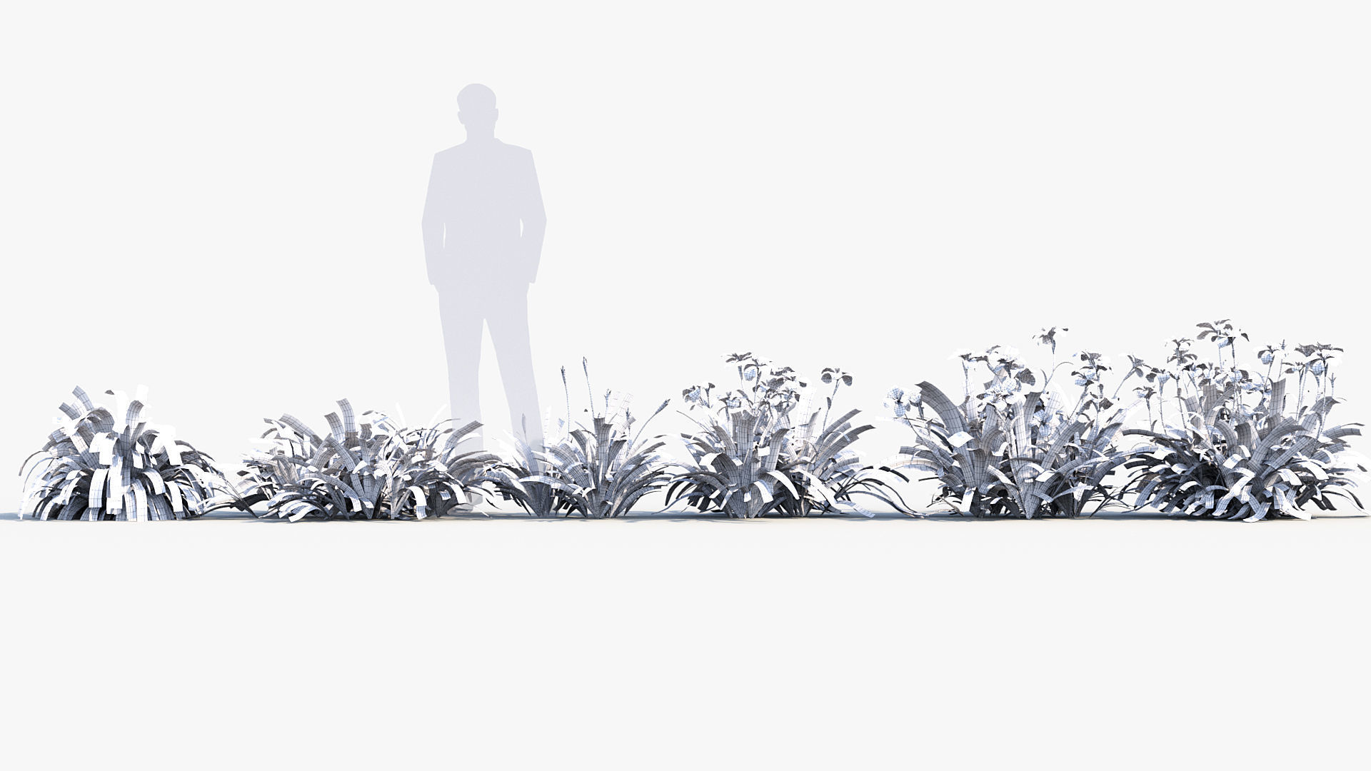 Iris tectorum Japanese Roof Iris 3D model_8