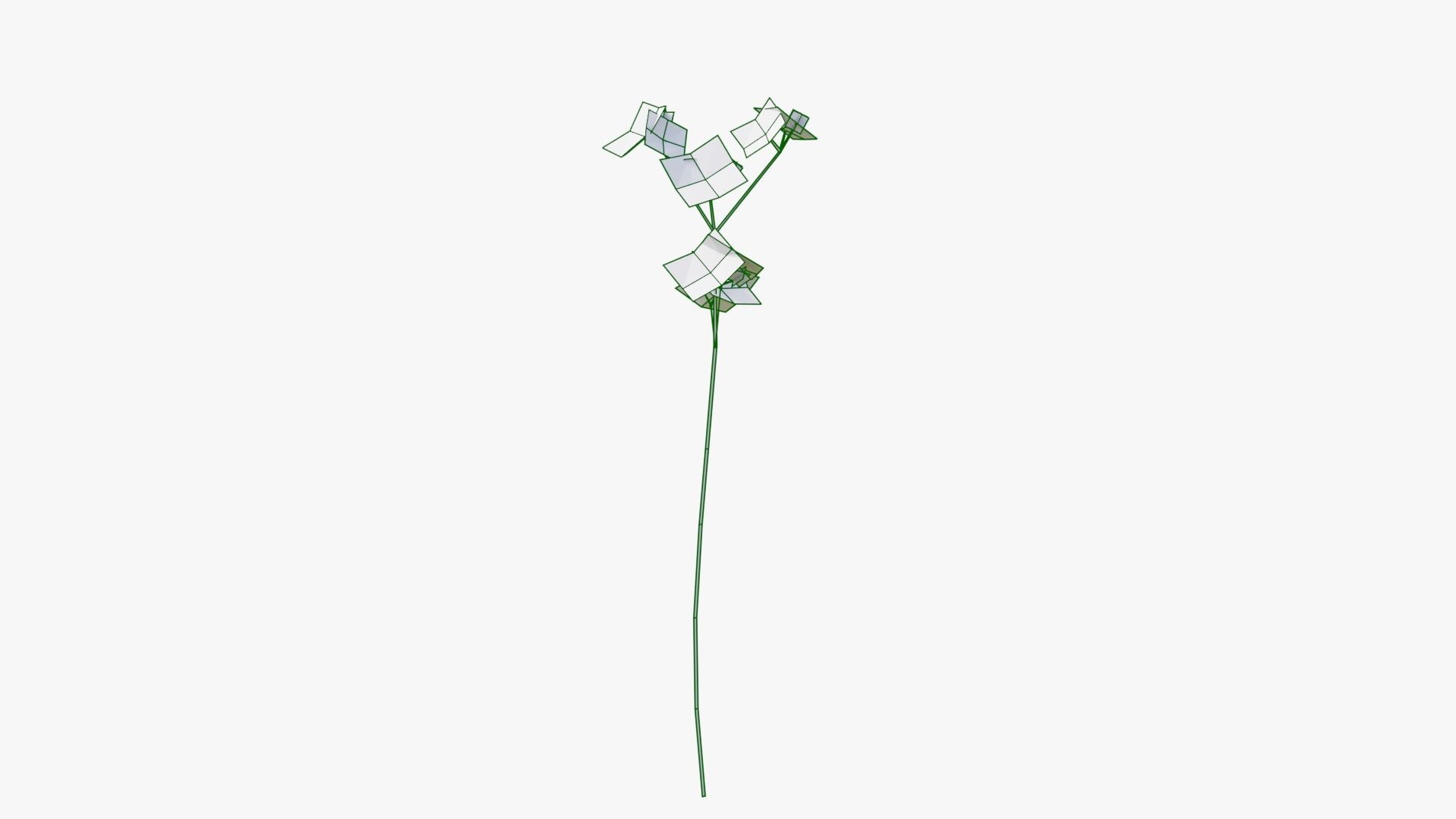 Pink Wild Flower Field 3D model_19