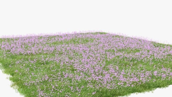 Pink Wild Flower Field 3D model 2