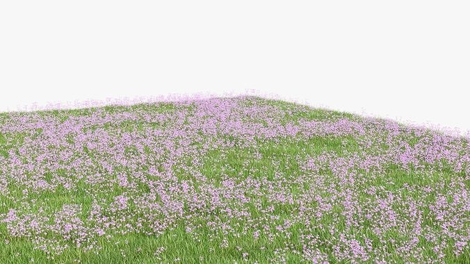 Pink Wild Flower Field 3D model 5