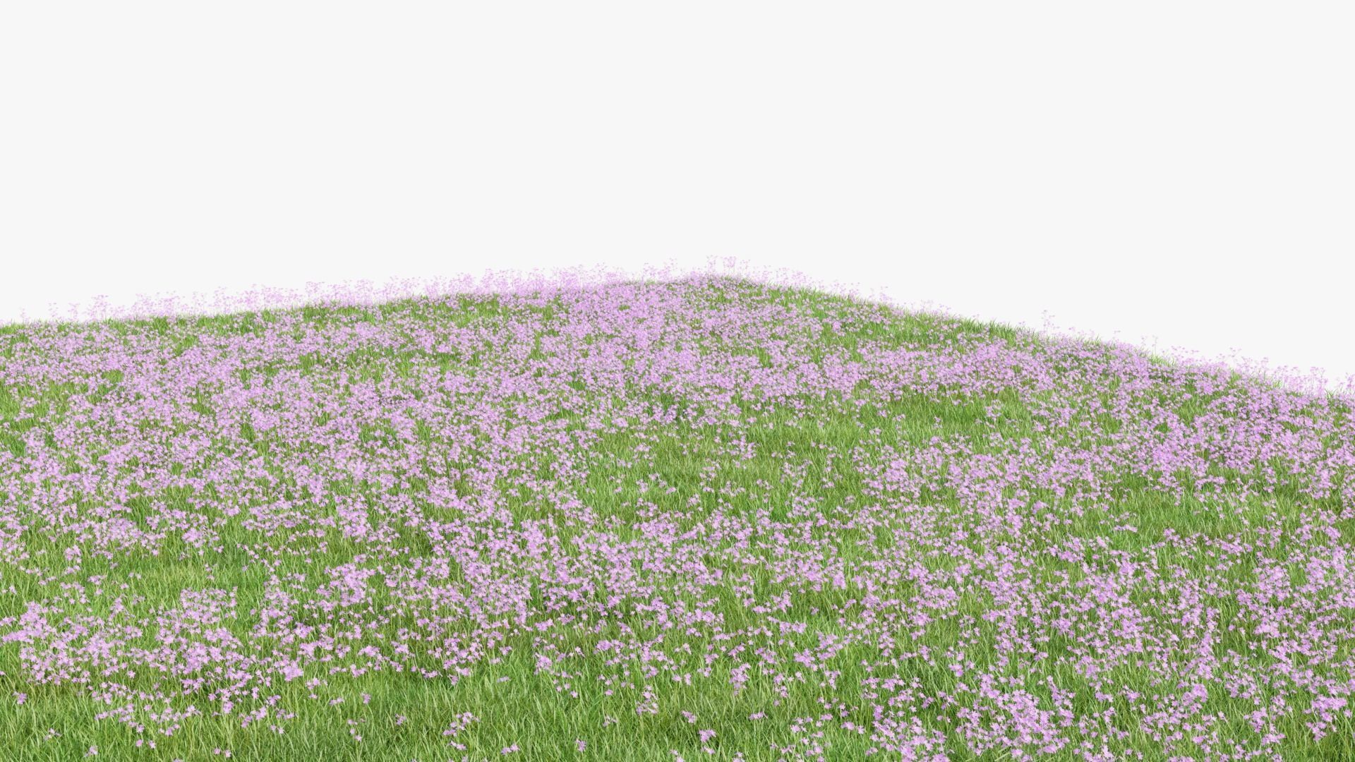 Pink Wild Flower Field 3D model_4