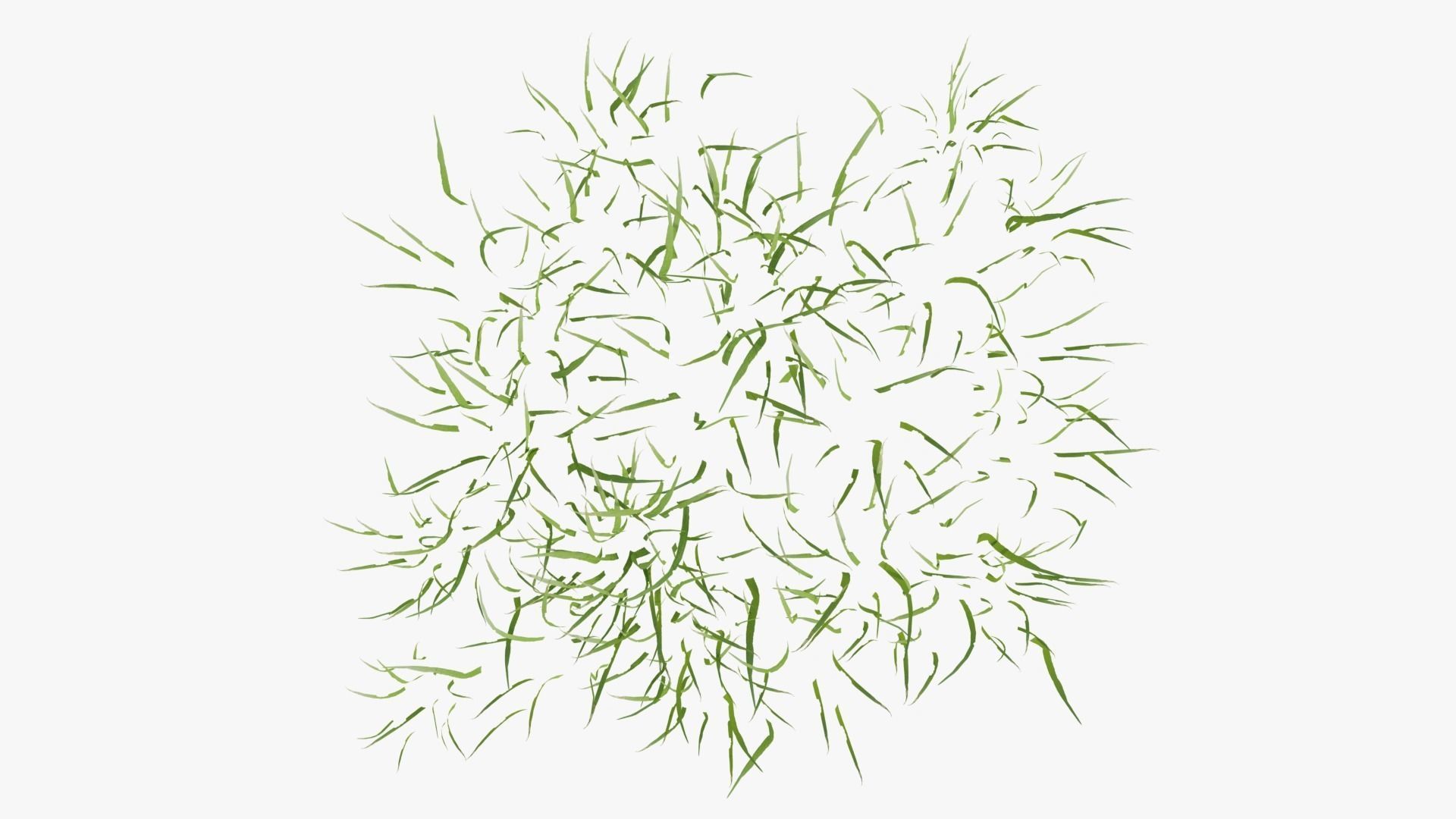 Pink Wild Flower Field 3D model_14