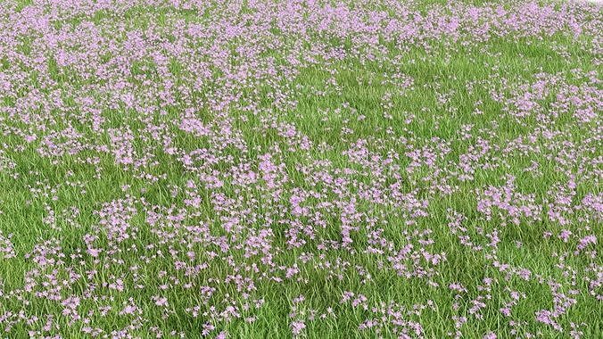 Pink Wild Flower Field 3D model 4