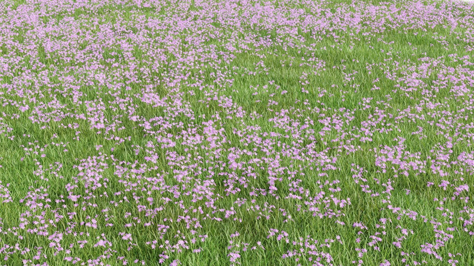 Pink Wild Flower Field 3D model_3