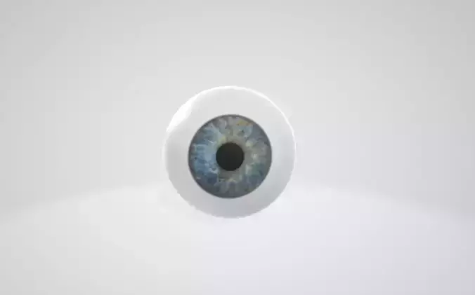 Light Blue Eye Free 3D model