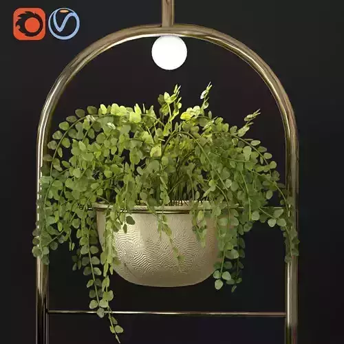 Metal Hanging Lamp Indoor Plant Partition