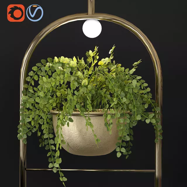 Metal Hanging Lamp Indoor Plant Partition Free 3D model