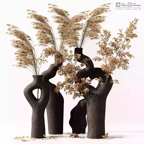 Collection Indoor Plants 043