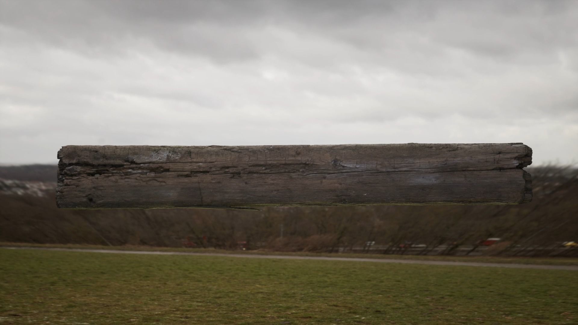 Wood Plank RC Scan 3D model_6