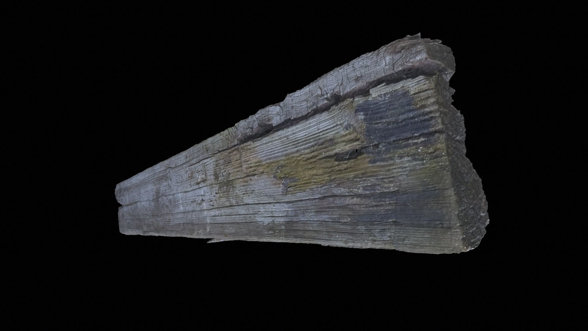 Wood Plank RC Scan 3D model_4
