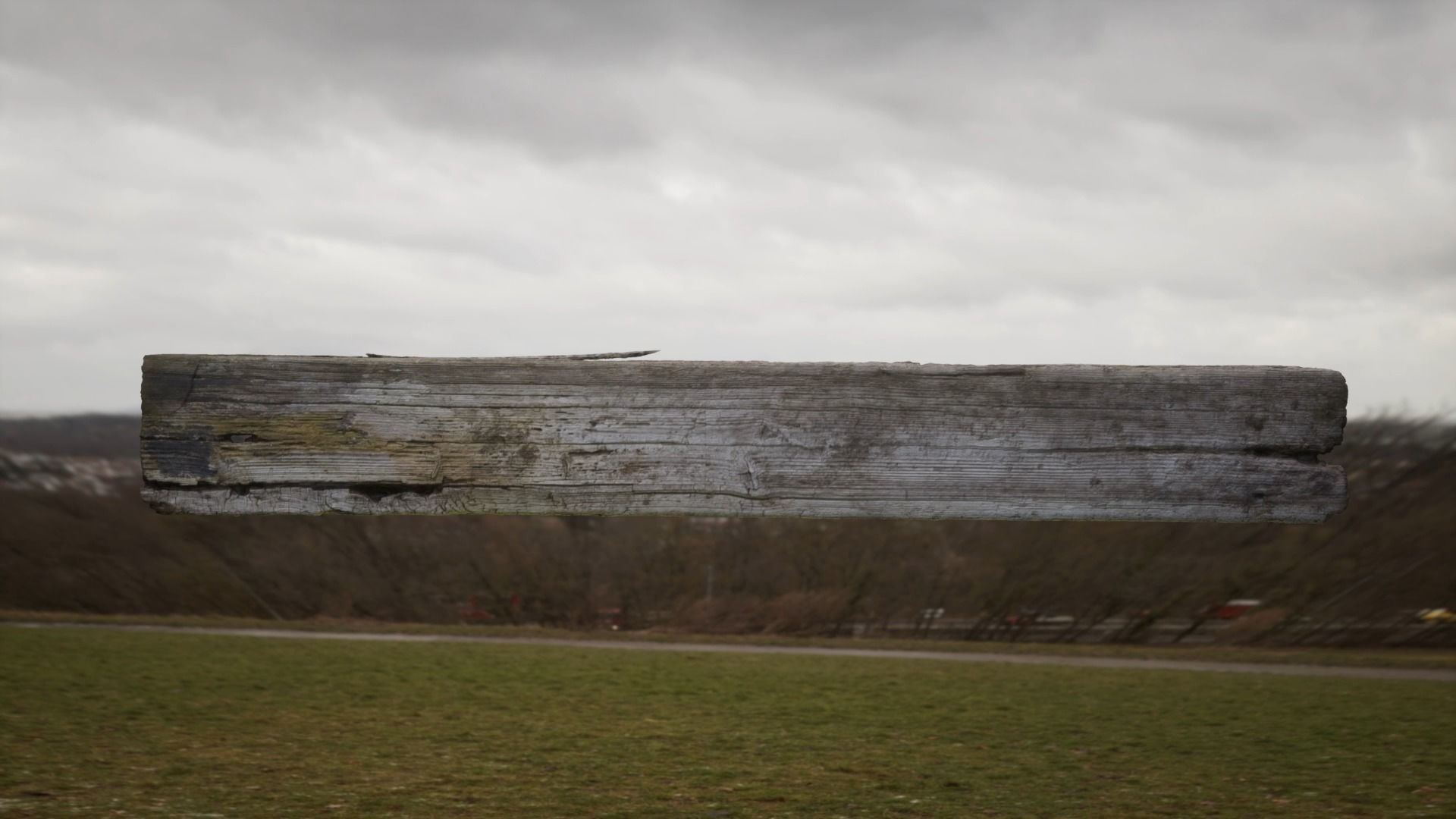 Wood Plank RC Scan 3D model_5