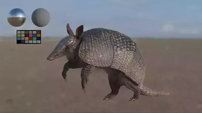 nine bands armadilo Low-poly 3D model