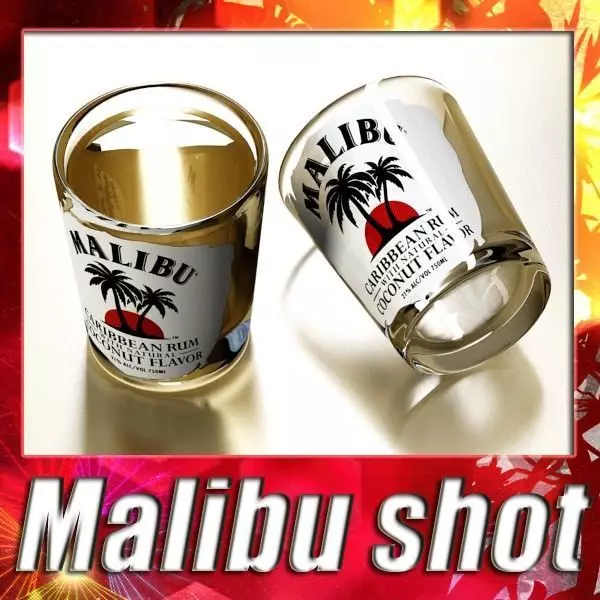 Malibu Shot Glass - High Detailed 3D model_0