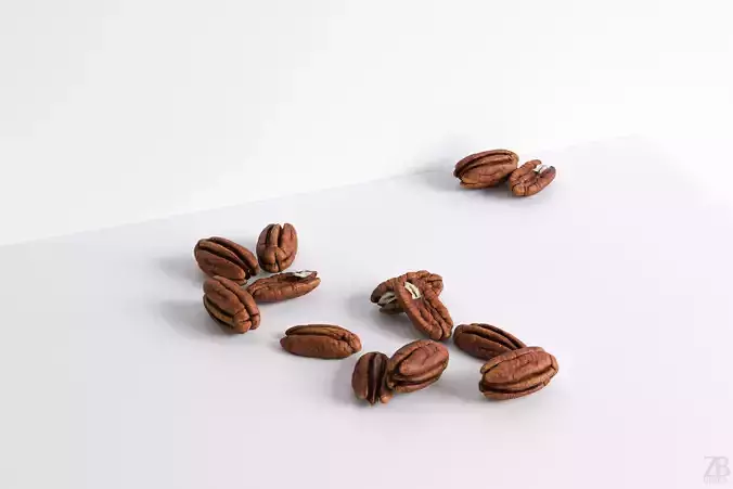 Pecan 3D model