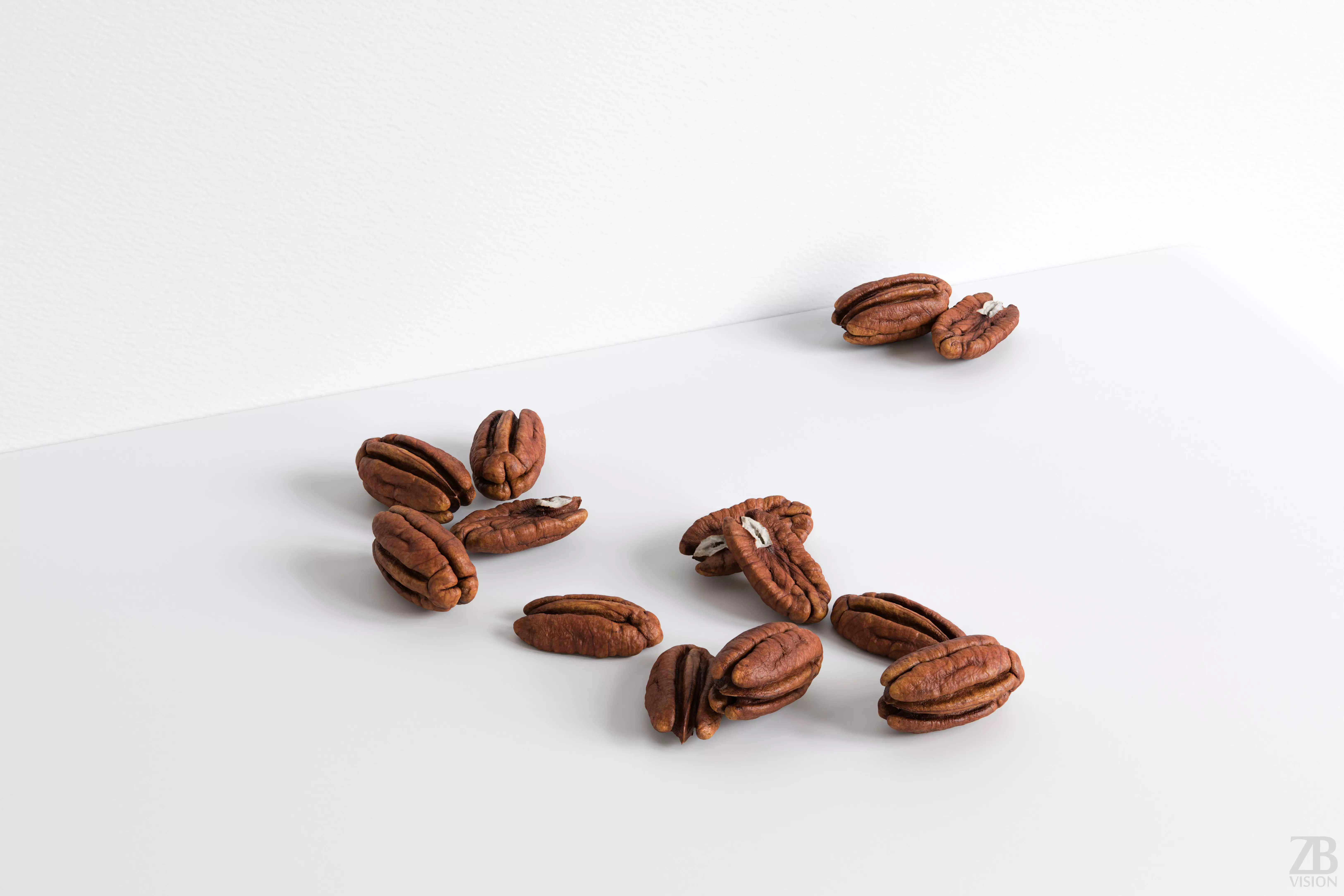 Pecan 3D model_0