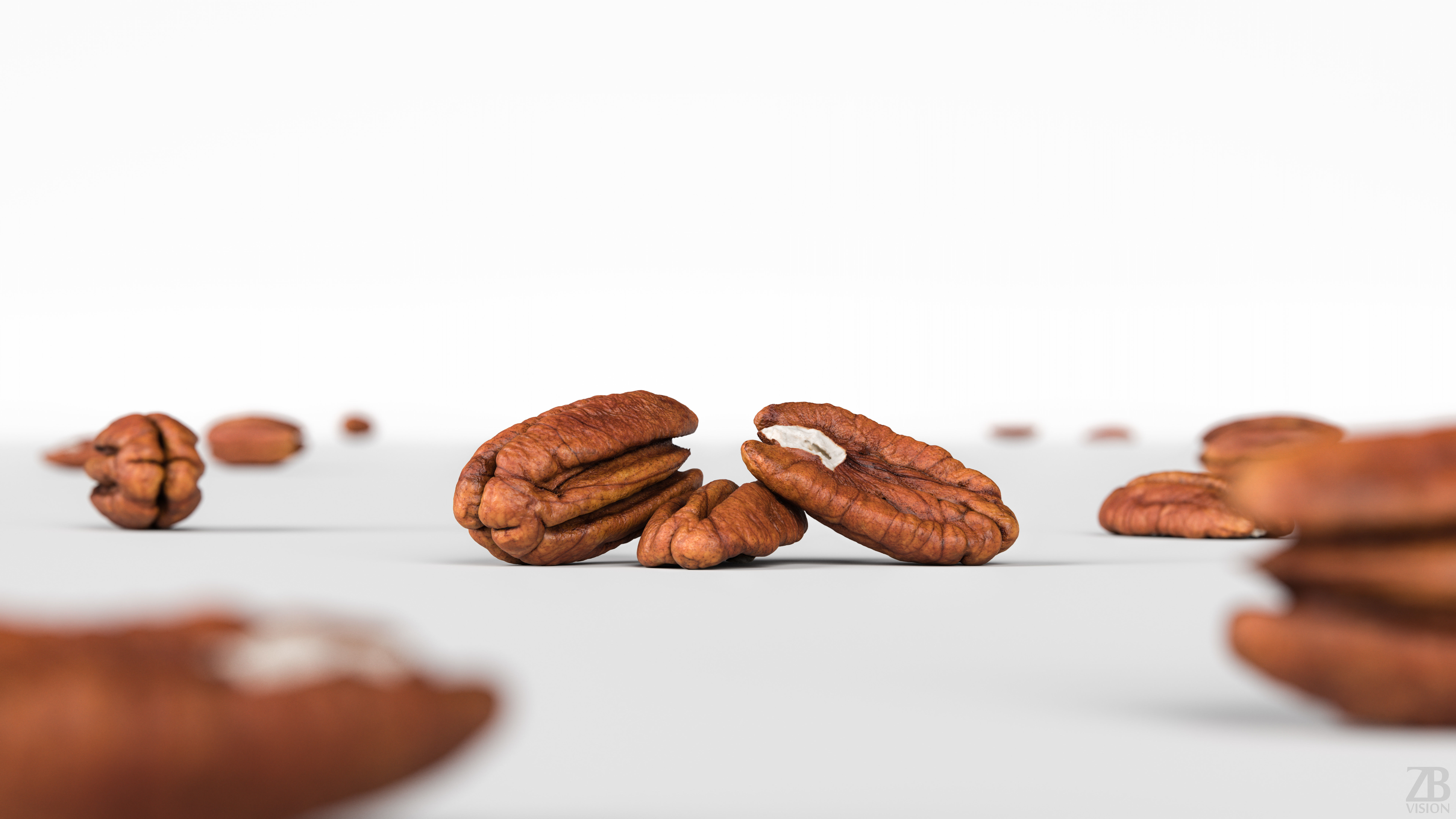Pecan 3D model_1