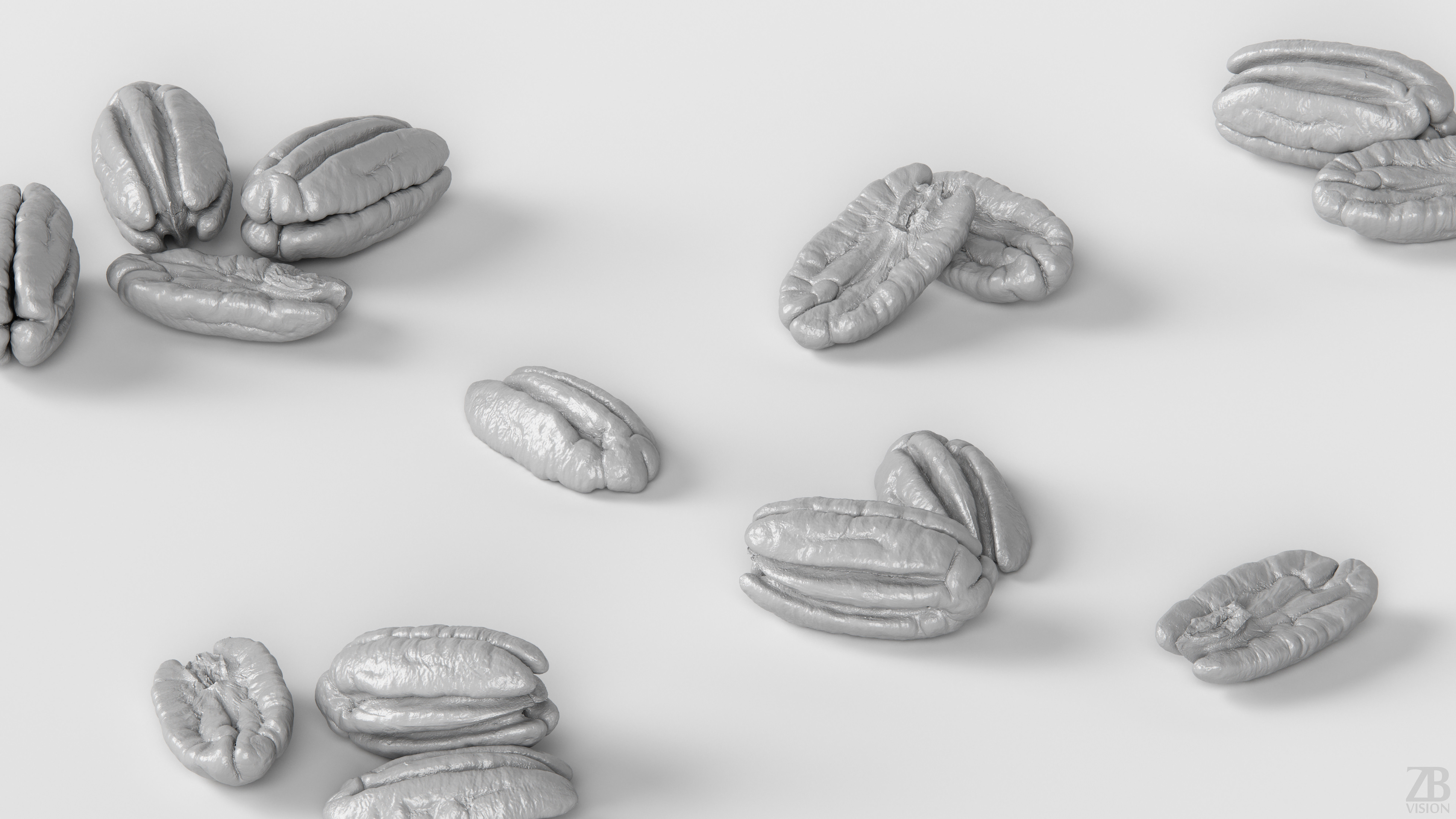 Pecan 3D model_3