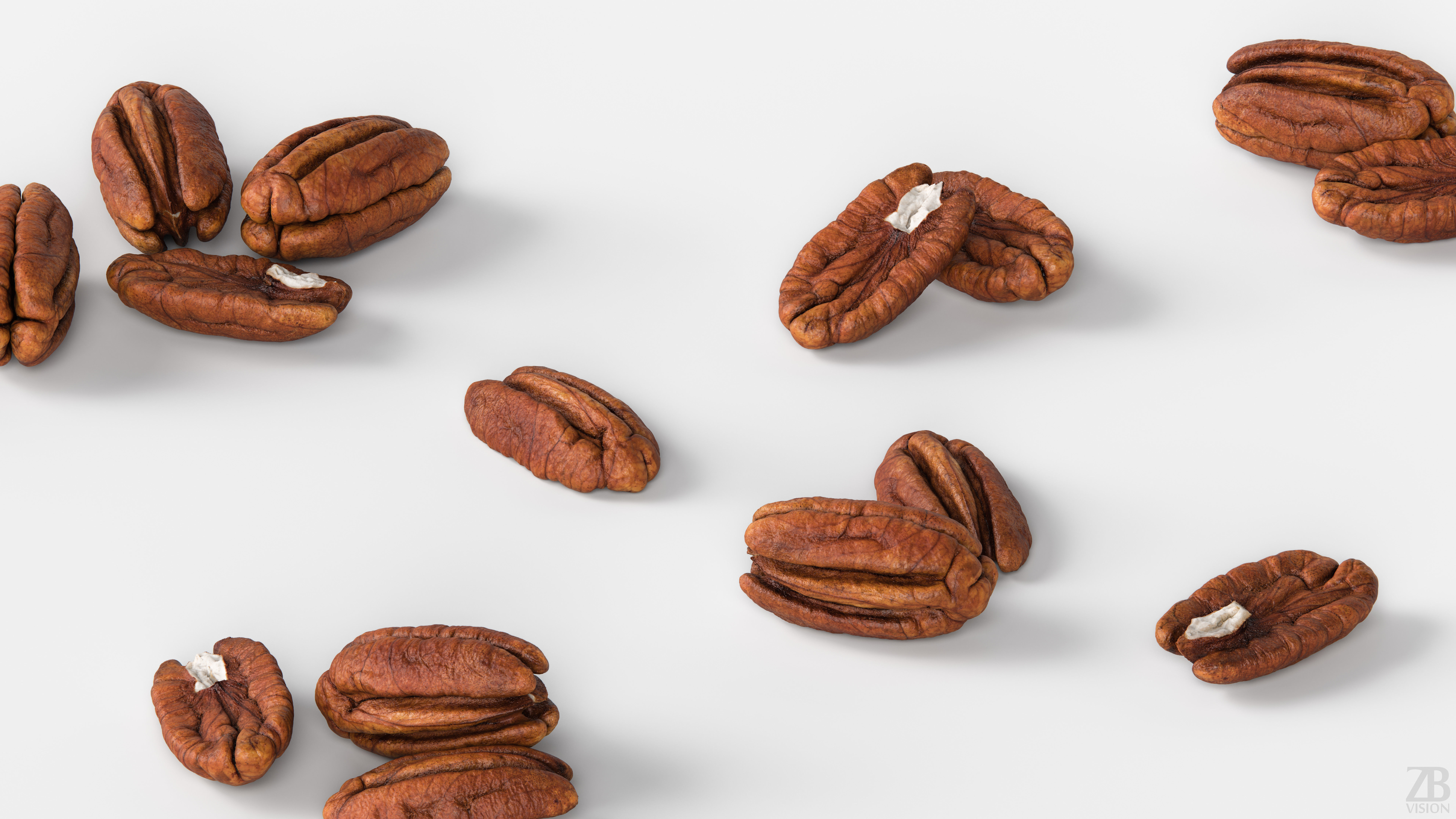 Pecan 3D model_2