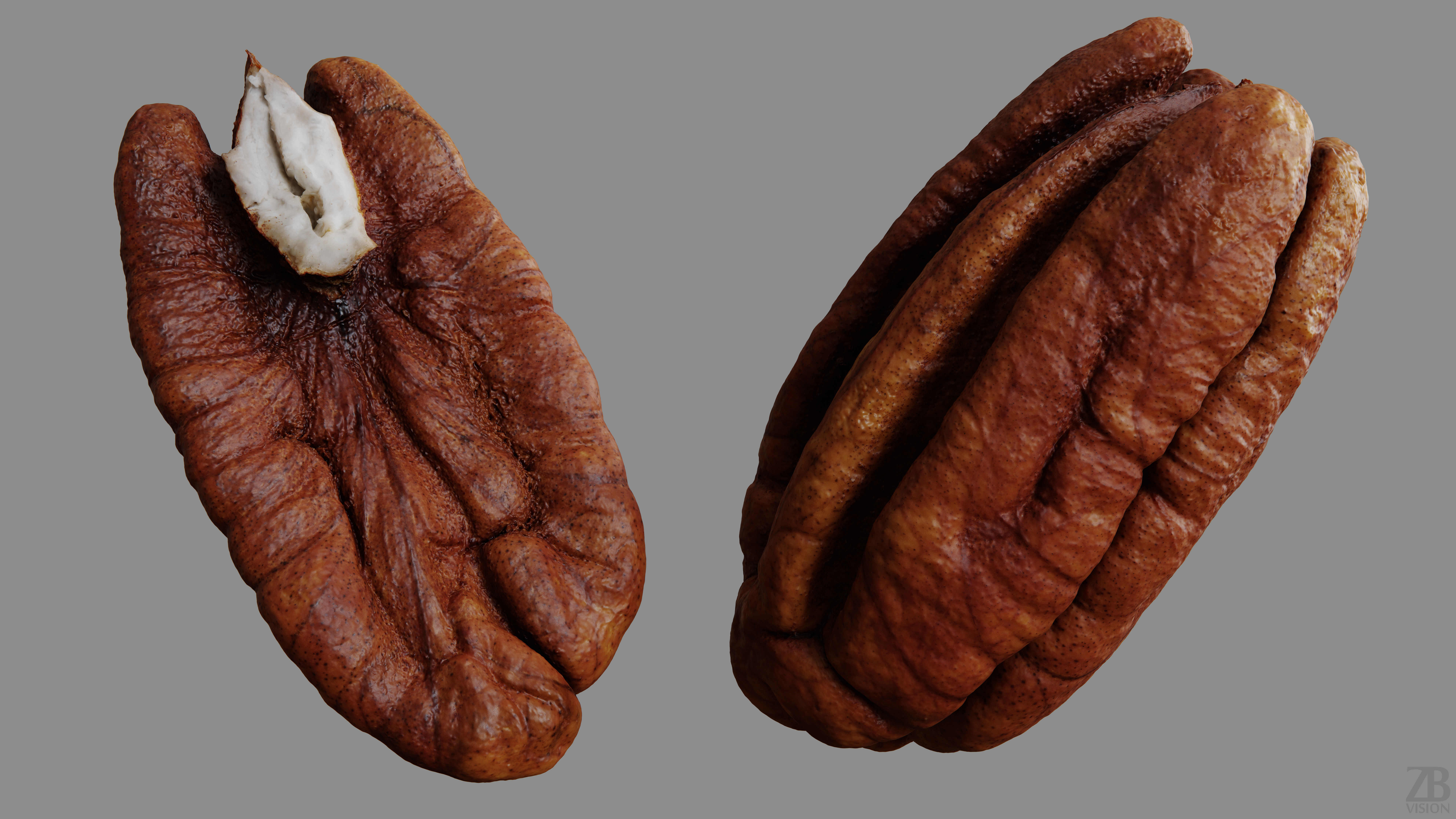 Pecan 3D model_8