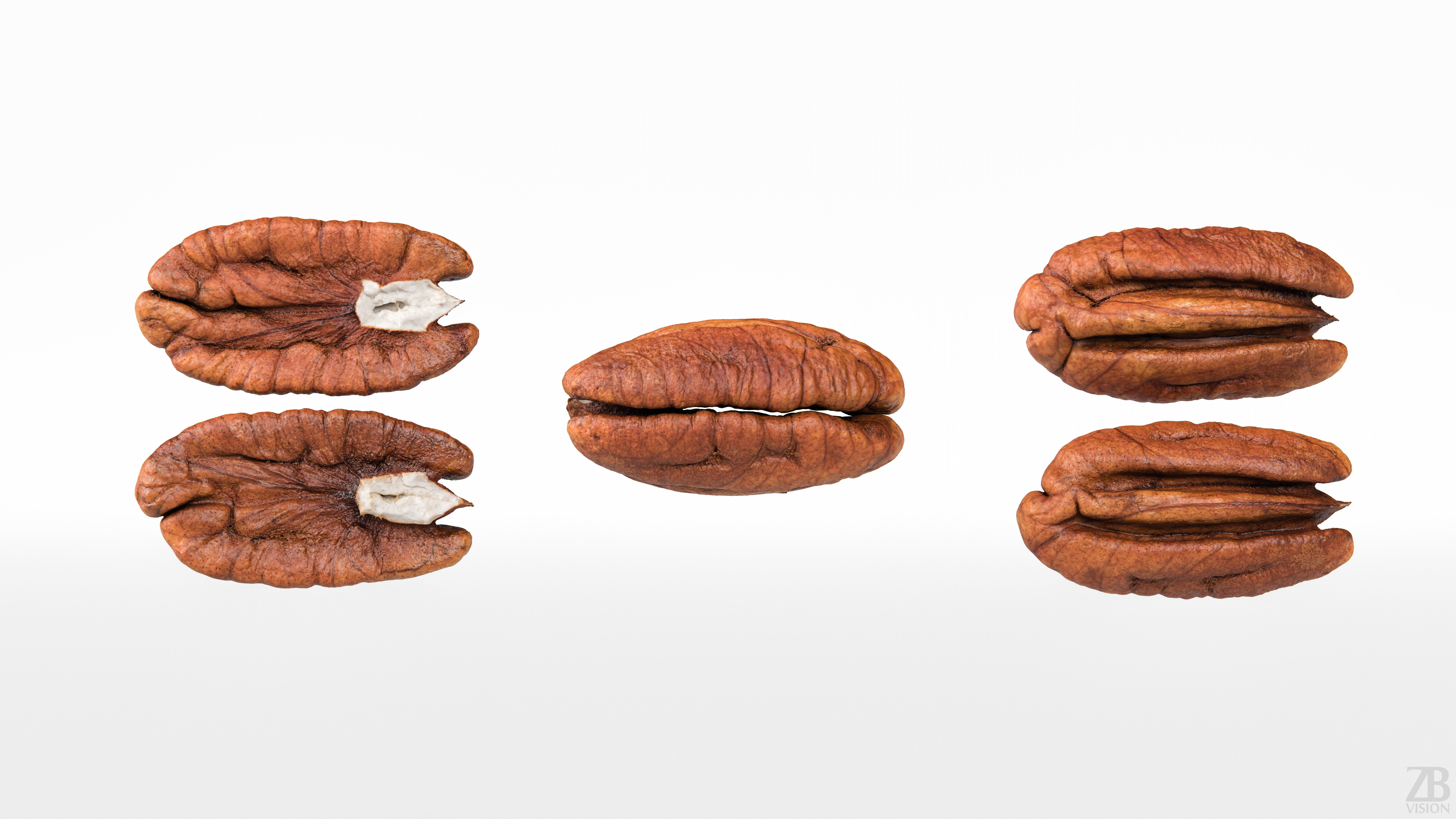 Pecan 3D model_4