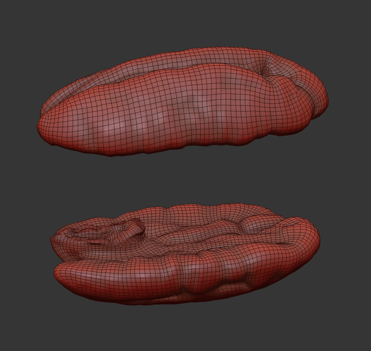 Pecan 3D model_6