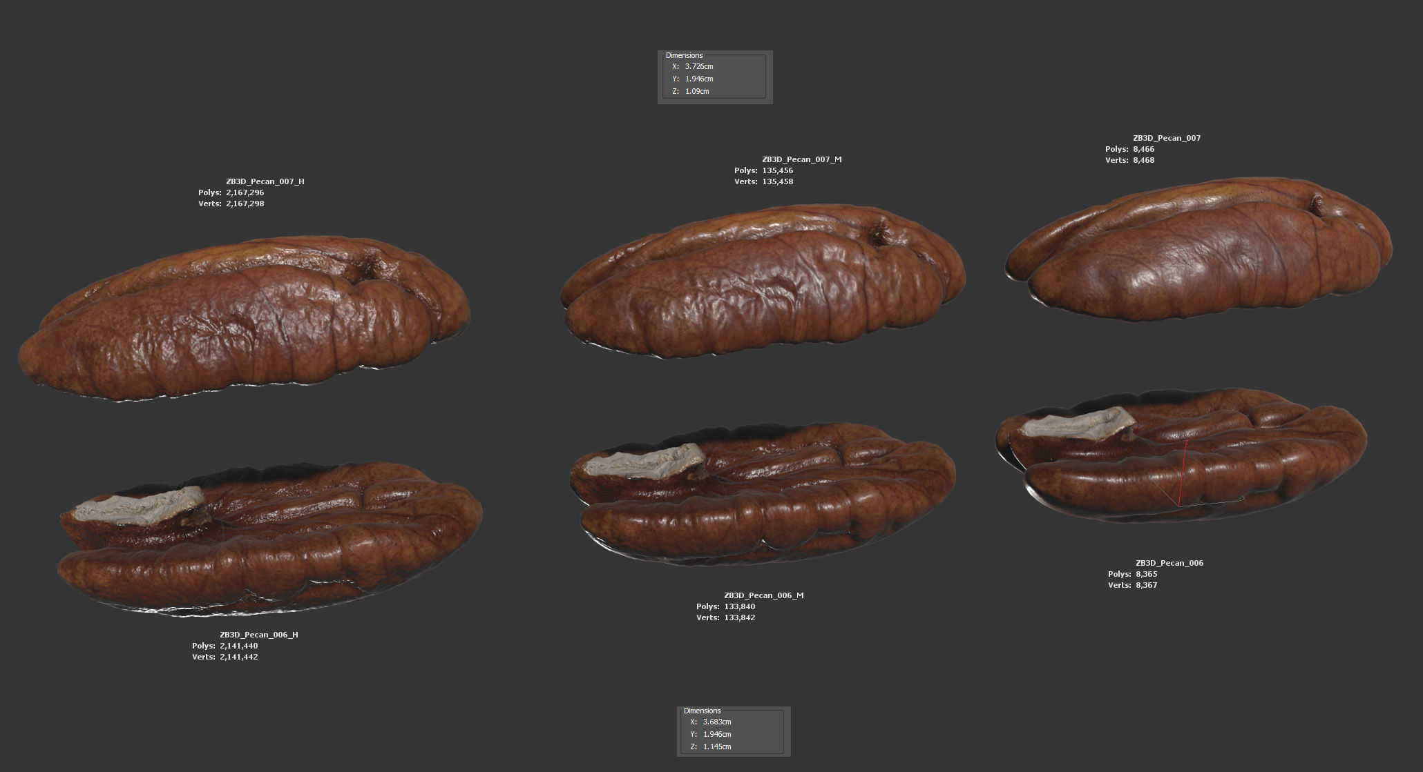 Pecan 3D model_5