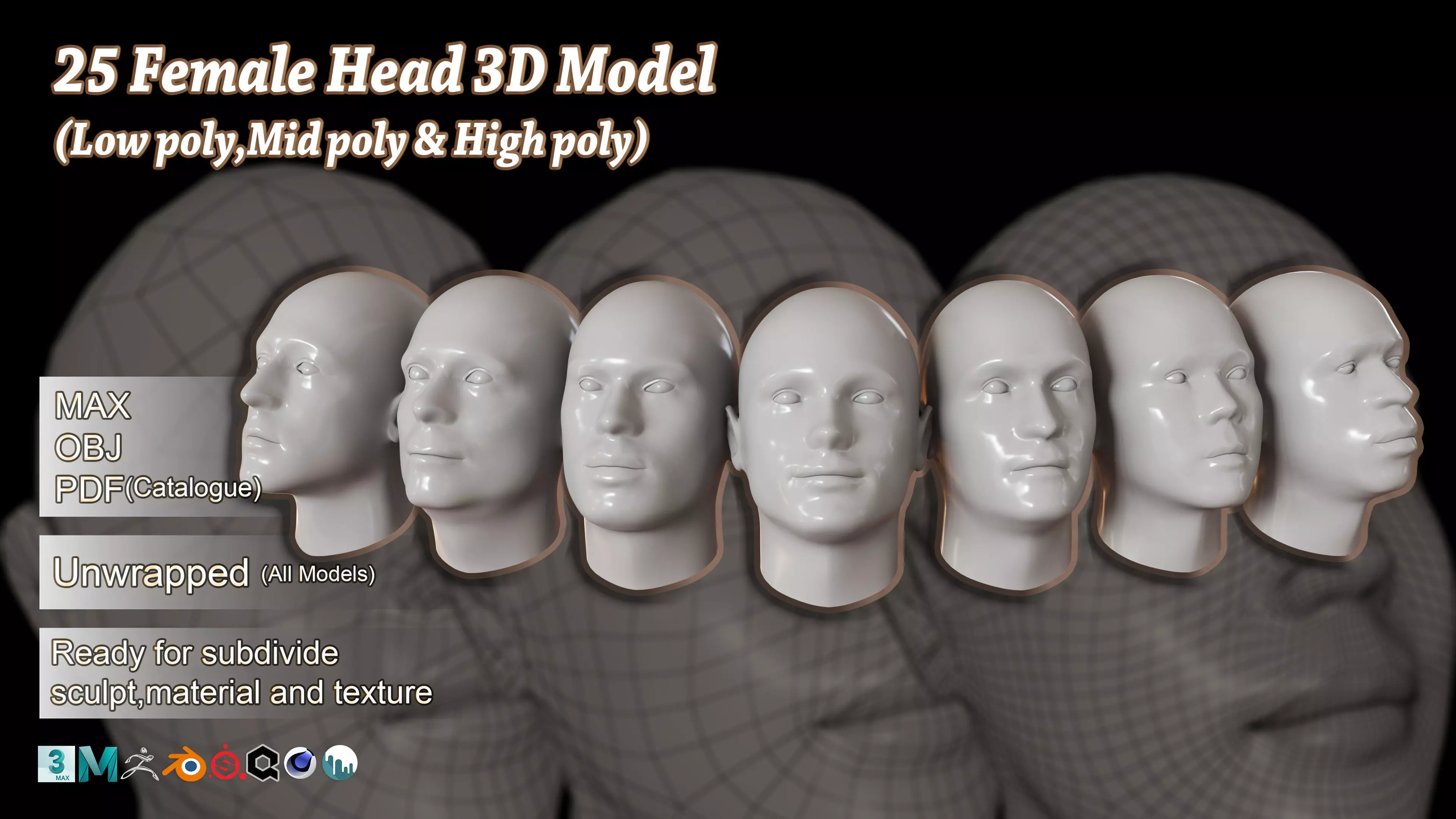 25 Male Head 3D Model Basemesh 3D model