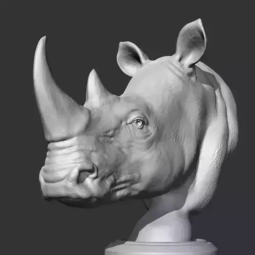 Rhino Head AM12 3D print model