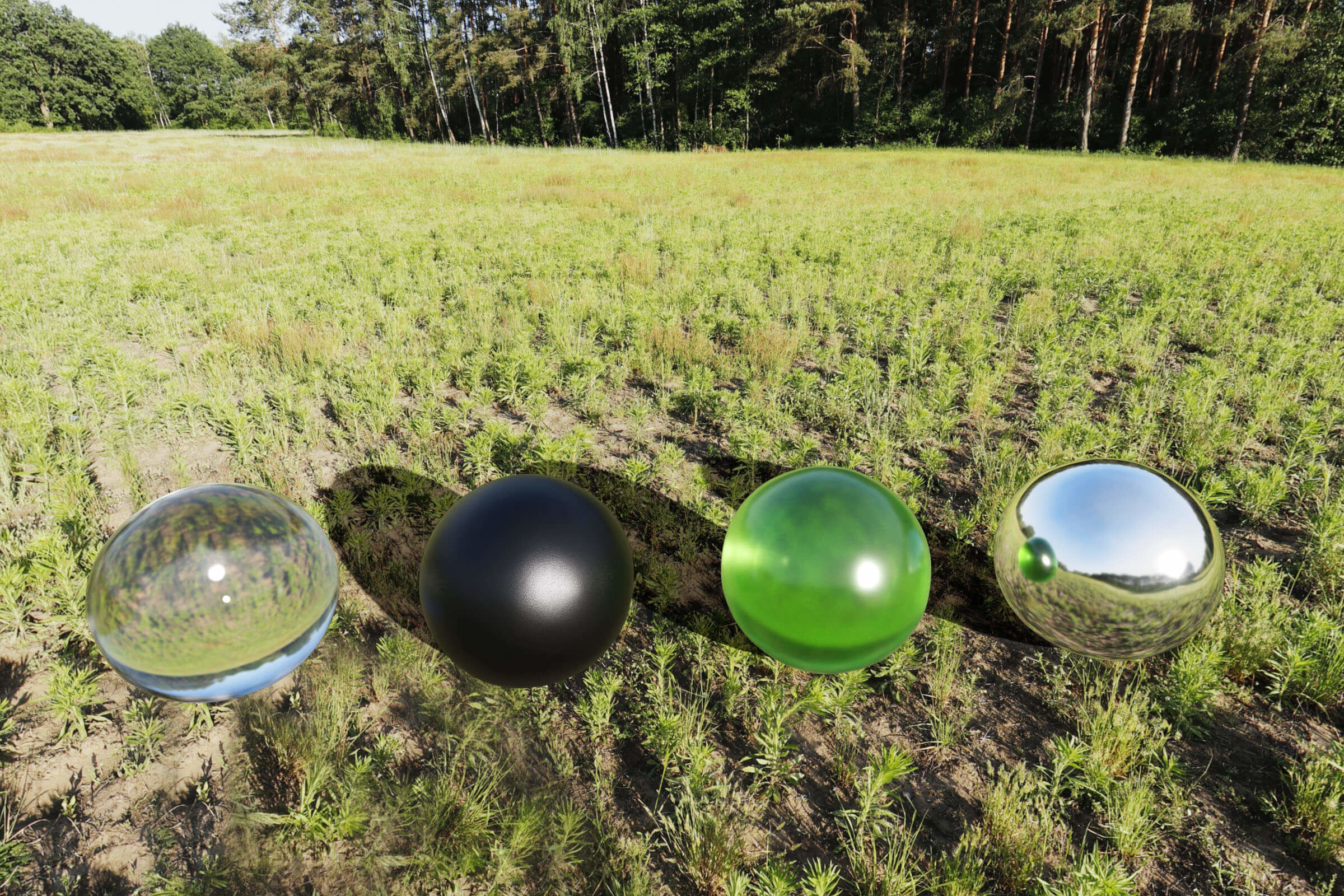 Forest Field HDRI - 17k - 29 EV - unclipped sun Texture_2