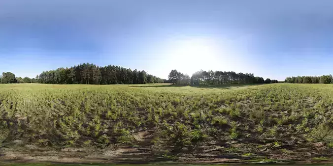 Forest Field HDRI - 17k - 29 EV - unclipped sun