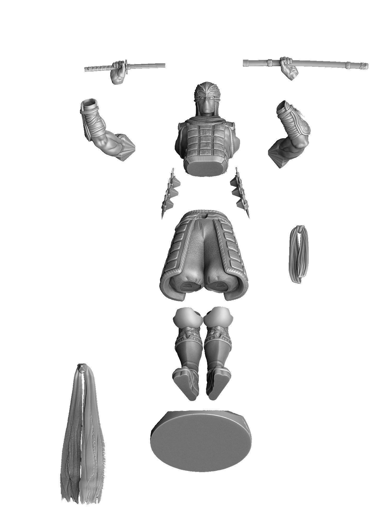 RYU HAYABUSA Ninja Gaiden with a sword 2 options for 3D printing 3D print model_40