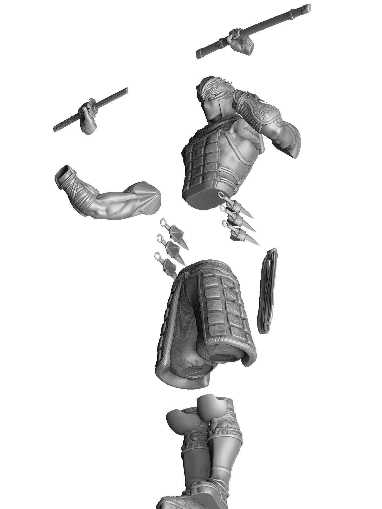 RYU HAYABUSA Ninja Gaiden with a sword 2 options for 3D printing 3D print model_42