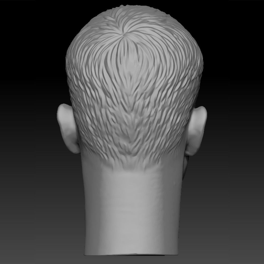 The Bourne Identity Matt Damon Head sculpture 3D print model 3D print model_1