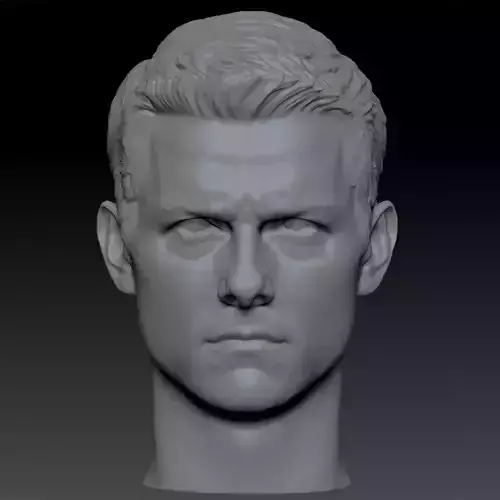 The Mission Impossible Tom Cruise Head sculpture 3D print model 3D print model