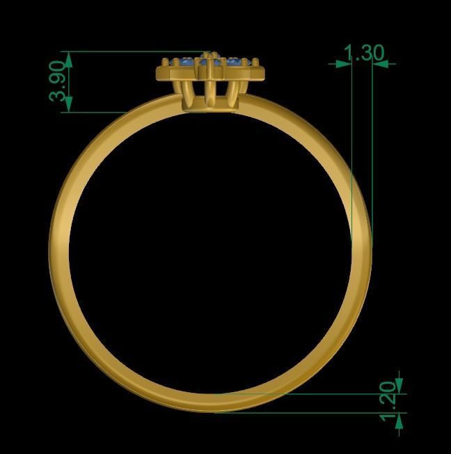 Shine Ring 3D print model_6