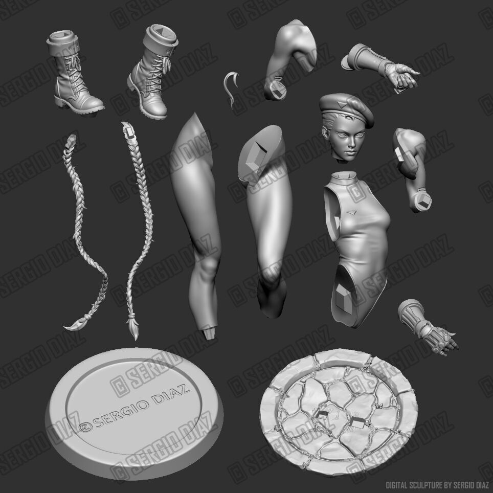 Cammy v2 3D print model_12