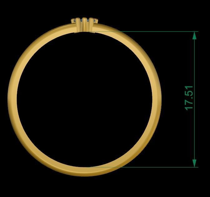 Small Ring 3D print model_3