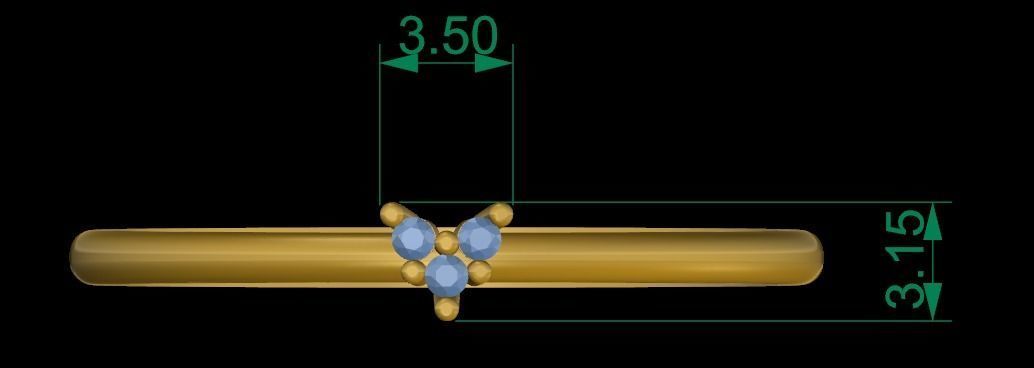 Small Ring 3D print model_6