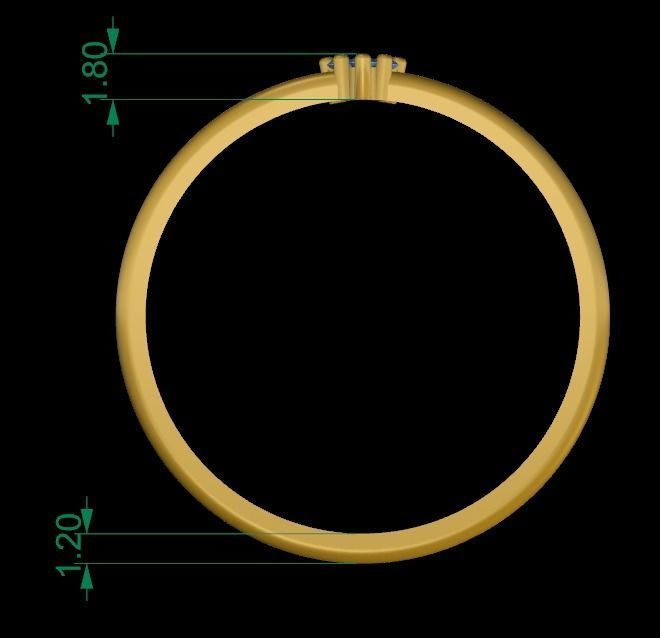 Small Ring 3D print model_4