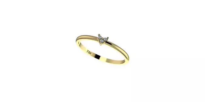 Small Ring 3D print model