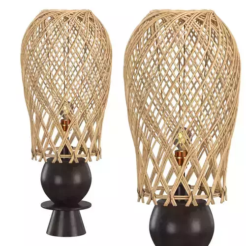 Kea Lamp 3D model