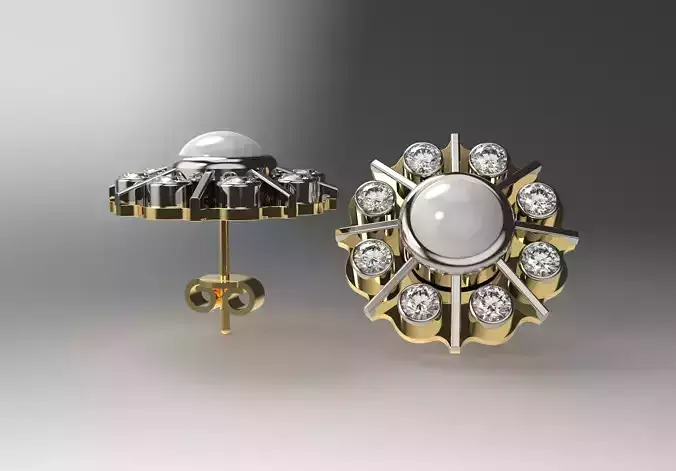 two tone tray earrings