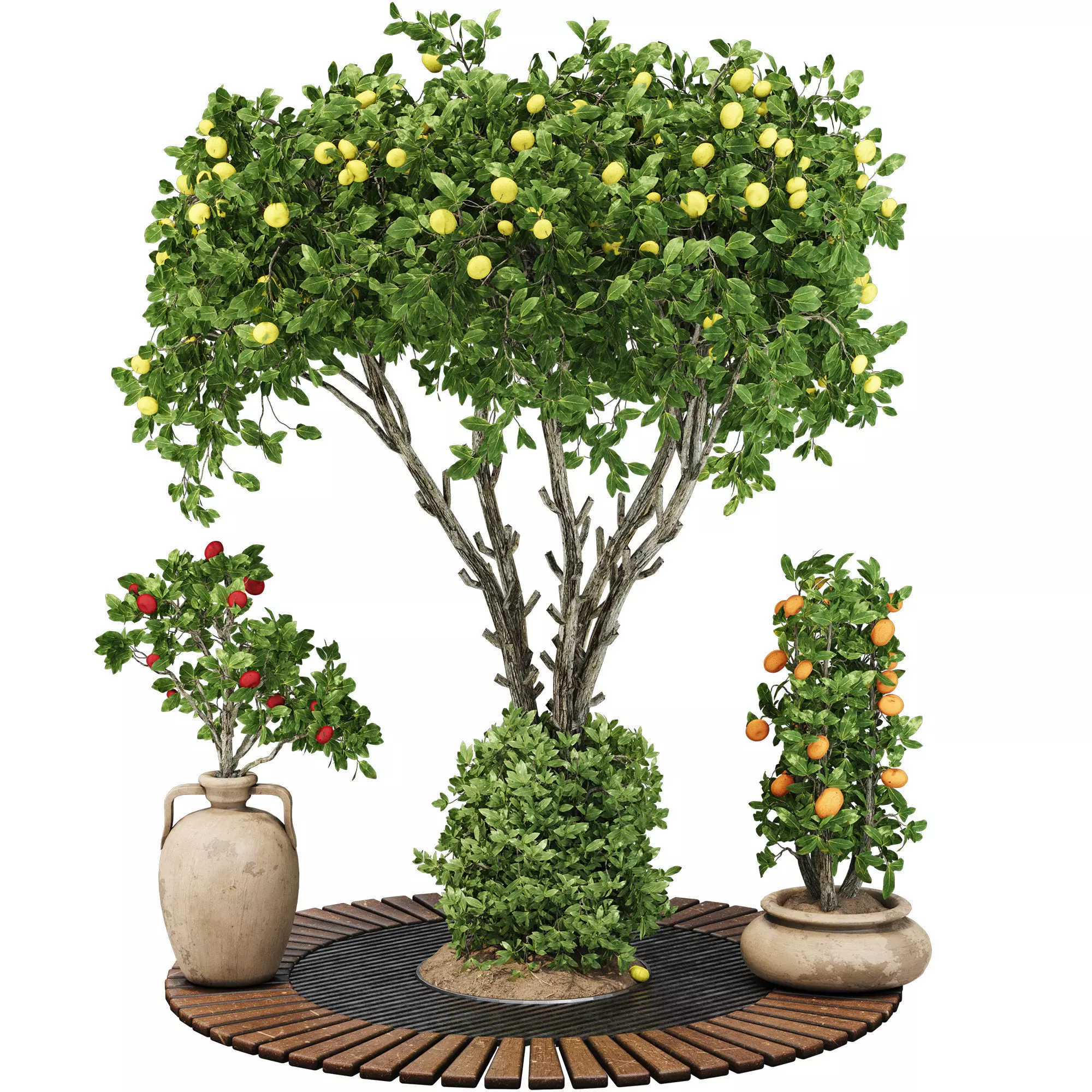 Decorative Garden Apple Tree and bush 122 3D model