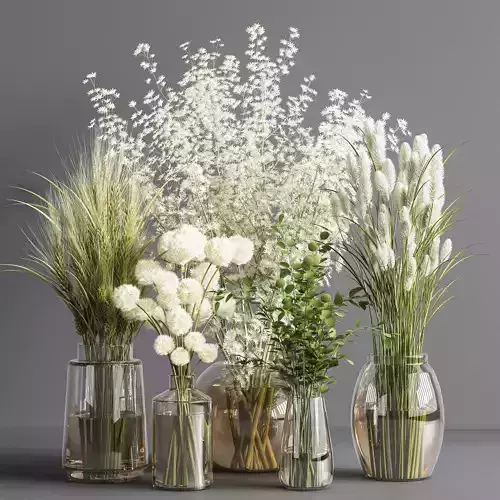 Collaction Plants Bouquet 04