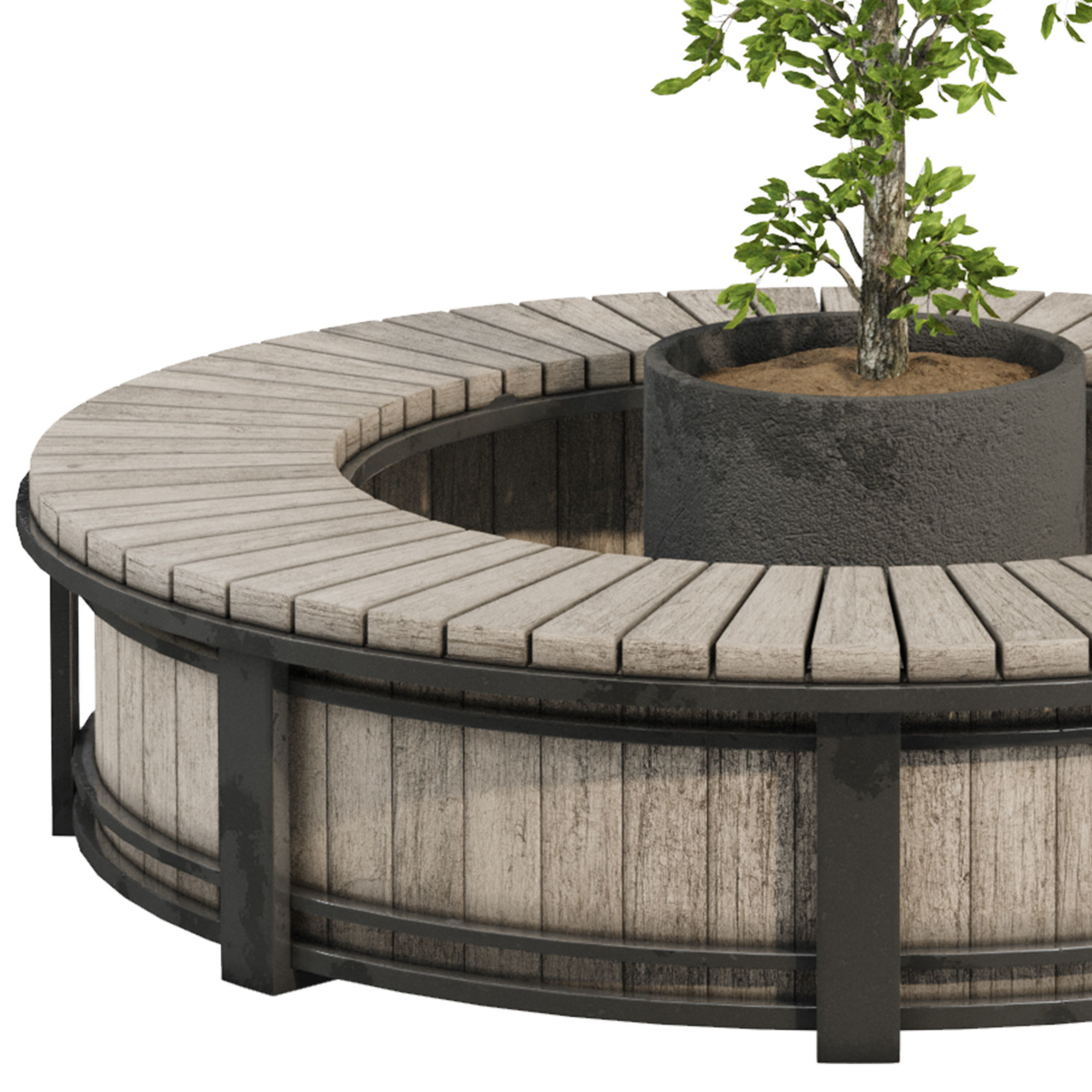 Garden Lemon Tree  126 3D model_5