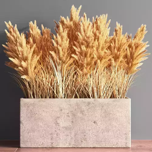 Indoor Plant Set 55  pampas