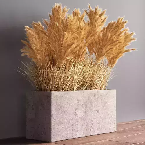 Indoor Plant Set 56  pampas