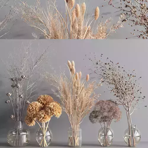 Collaction Plants Bouquet 2